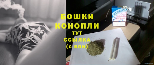 молекула духа Богородск