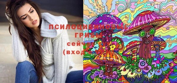 молекула духа Богородск