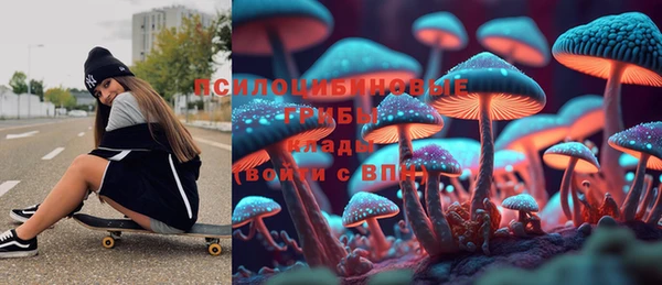 гидропоника Богородицк